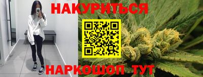 крисы Кандалакша