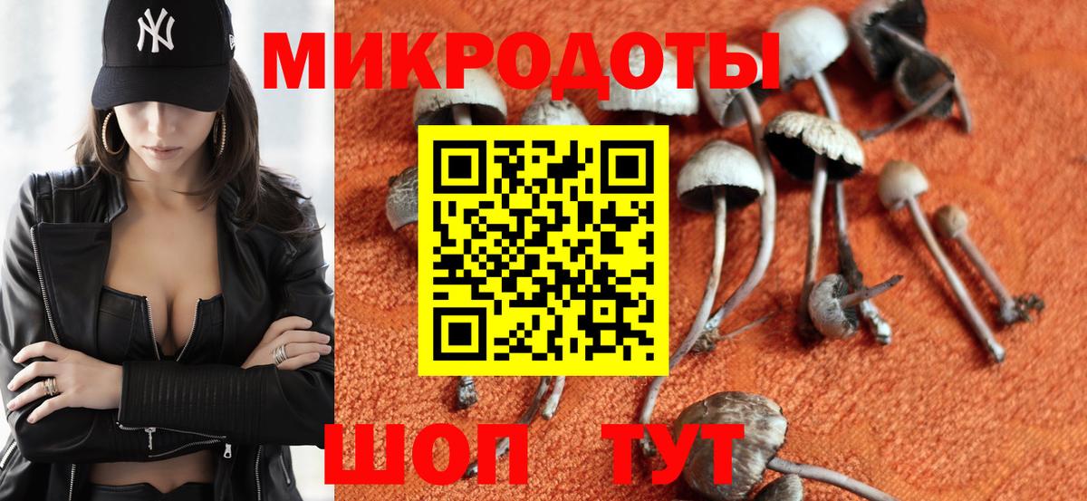 Галлюциногенные грибы Psilocybe  Псилоцибиновые грибы мухоморы  где купить наркотик  Вход с VPN  Ханты-Мансийск 