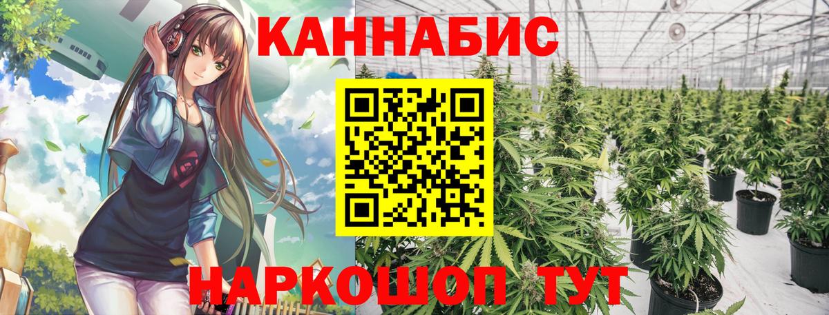 Конопля OG Kush Ханты-Мансийск